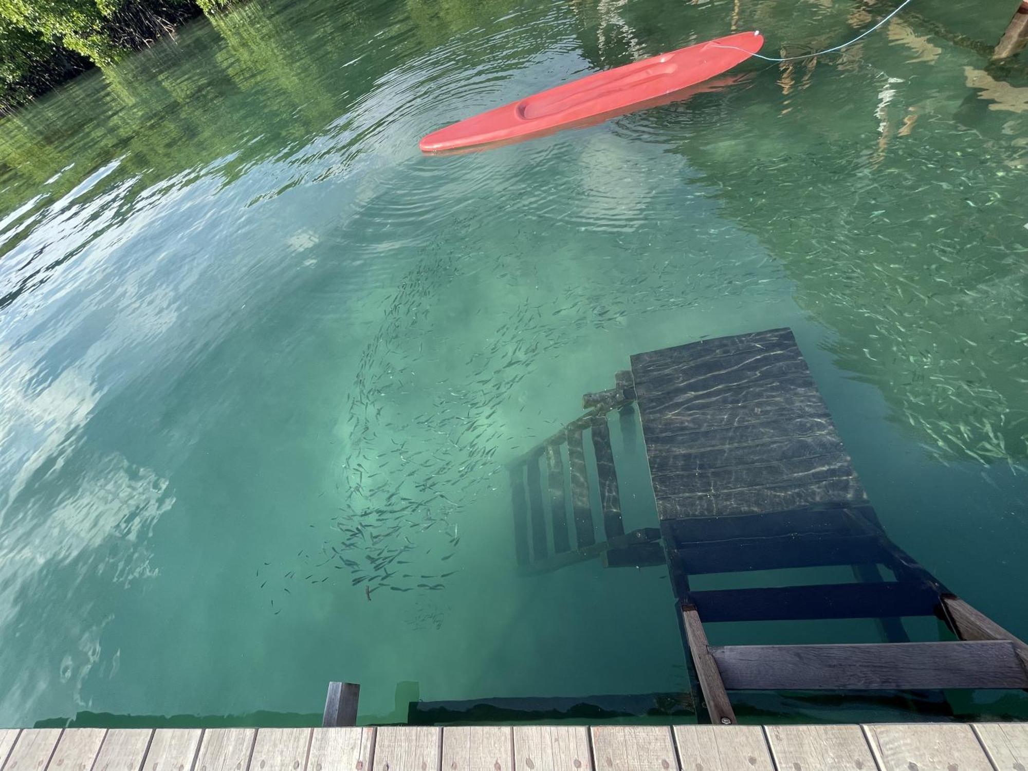 卡里蒙贾瓦 漂浮天堂旅馆酒店 外观 照片